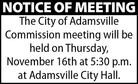 Town of Adamsville-Meeting