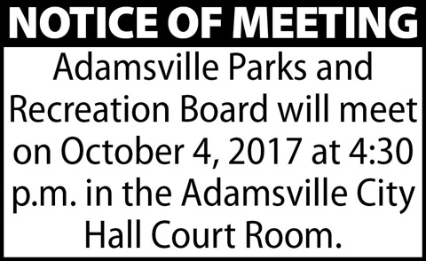 Town of Adamsville-Meeting