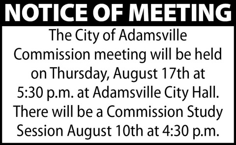 Town of Adamsville-Meeting