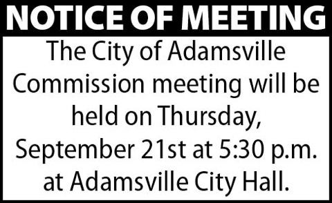 Town of Adamsville-Meeting