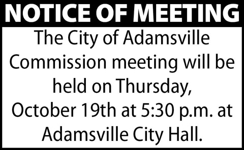 Town of Adamsville-Meeting