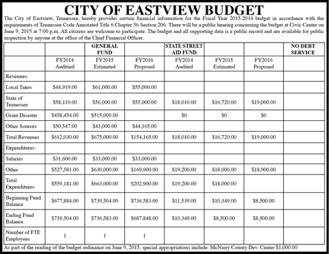 Town of Eastview-Budget