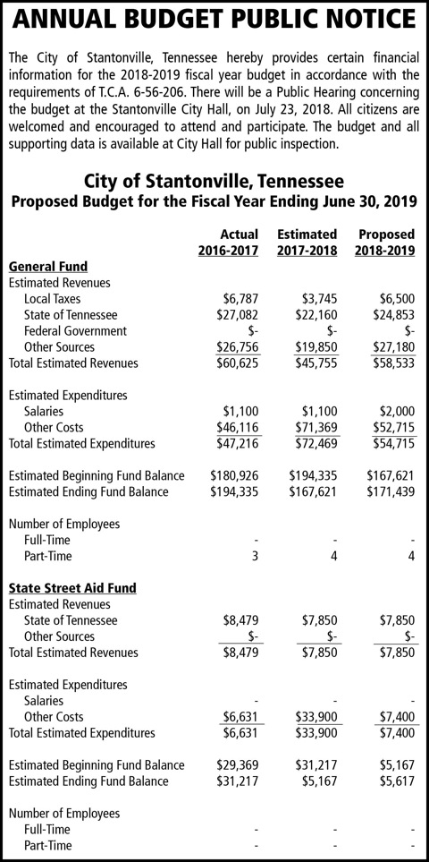 Town of Stantonville-Budget